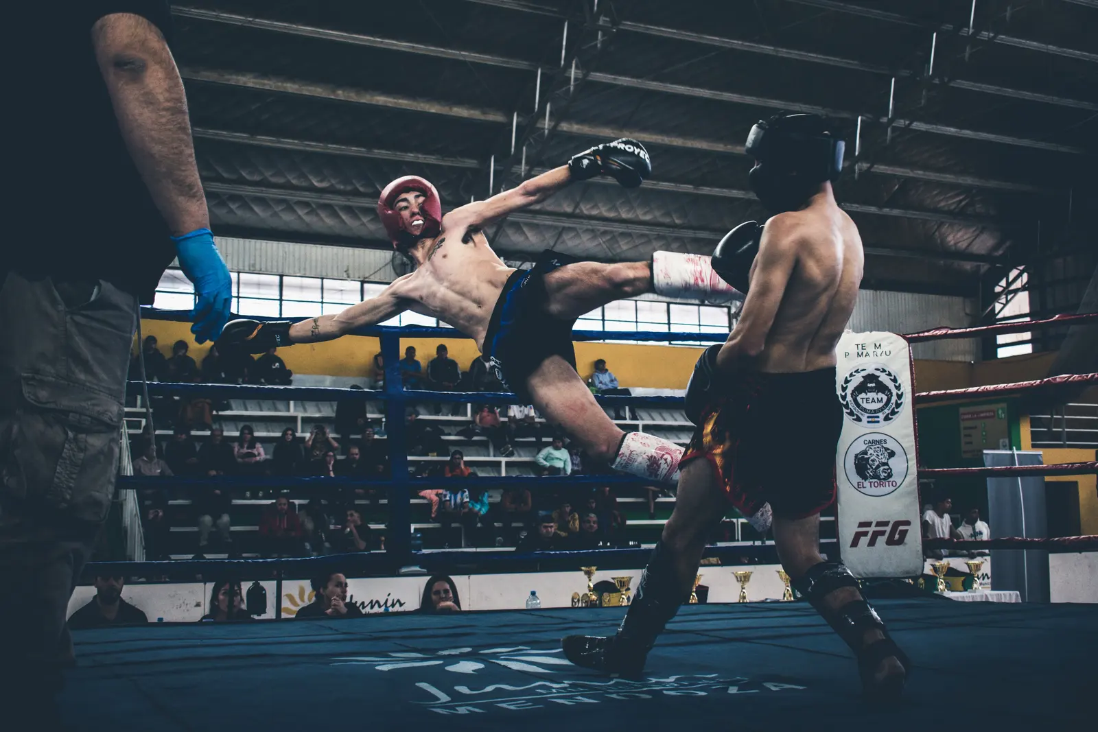 MMA equipment — OEM and private-label manufacturing by Rainwolf Sports
