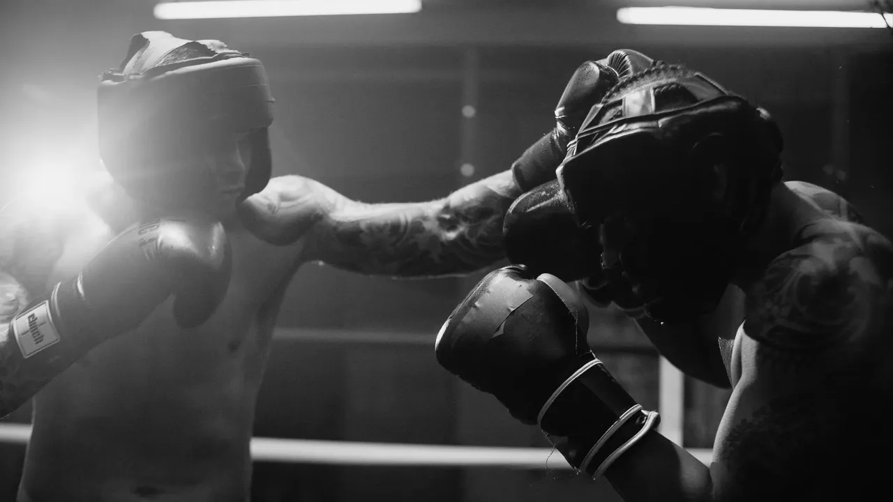 Sparring Gloves — custom OEM and private-label manufacturing by Rainwolf Sports