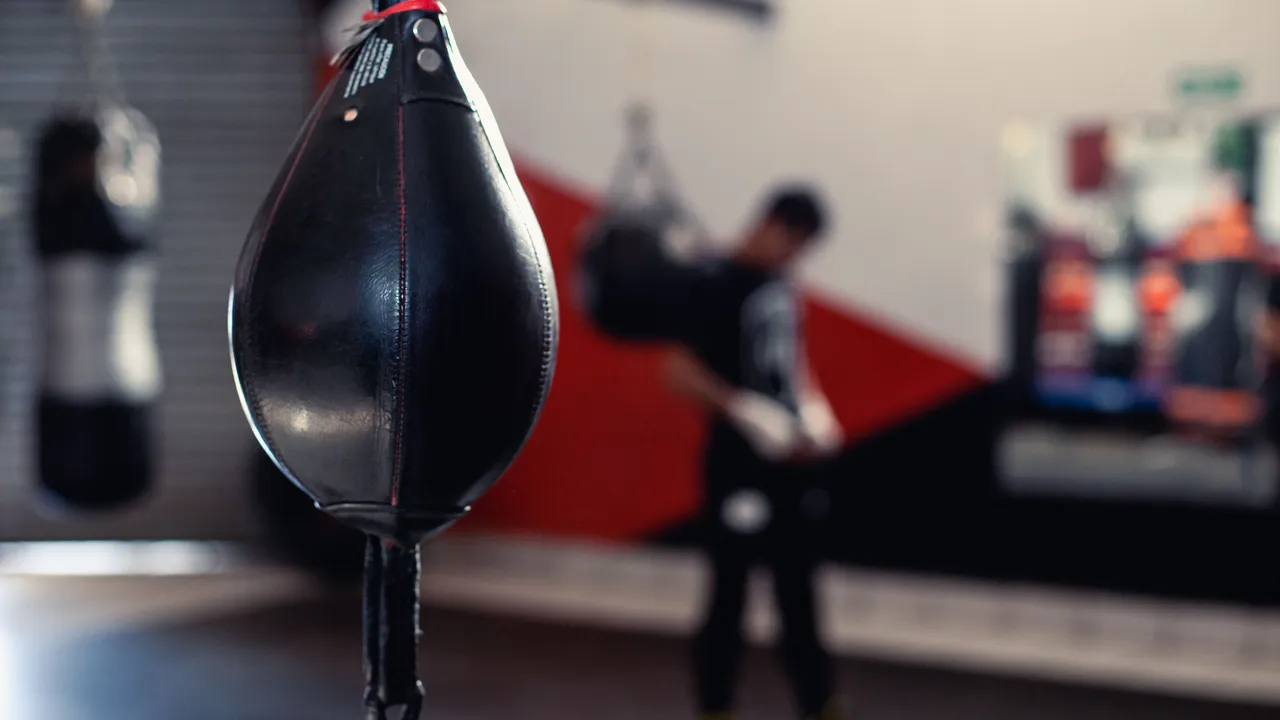 Speed Bags — custom OEM and private-label manufacturing by Rainwolf Sports
